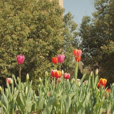 金沙js6666登录入口