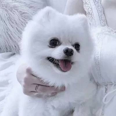 kaiyun登录入口登录