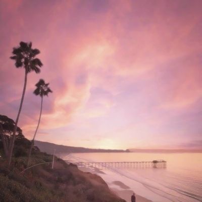 NG体育APP官方下载网址app下载