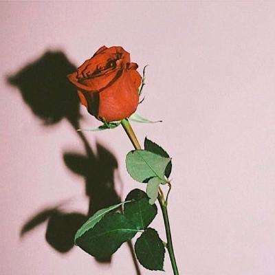 皇冠新体育APP手机app下载